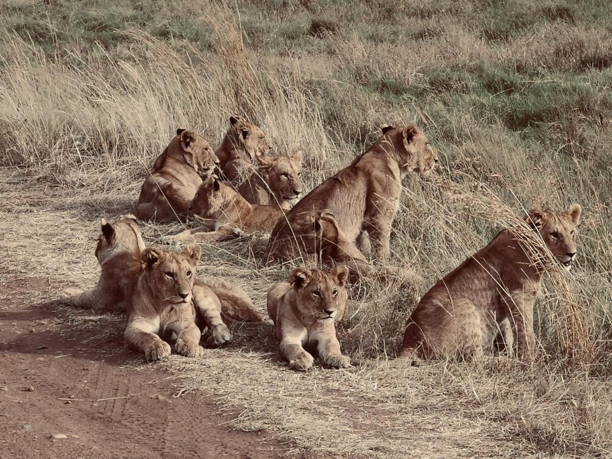 מלון טאלק Fig Tree Camp - Maasai Mara מראה חיצוני תמונה