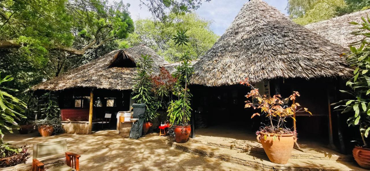 מלון טאלק Fig Tree Camp - Maasai Mara מראה חיצוני תמונה