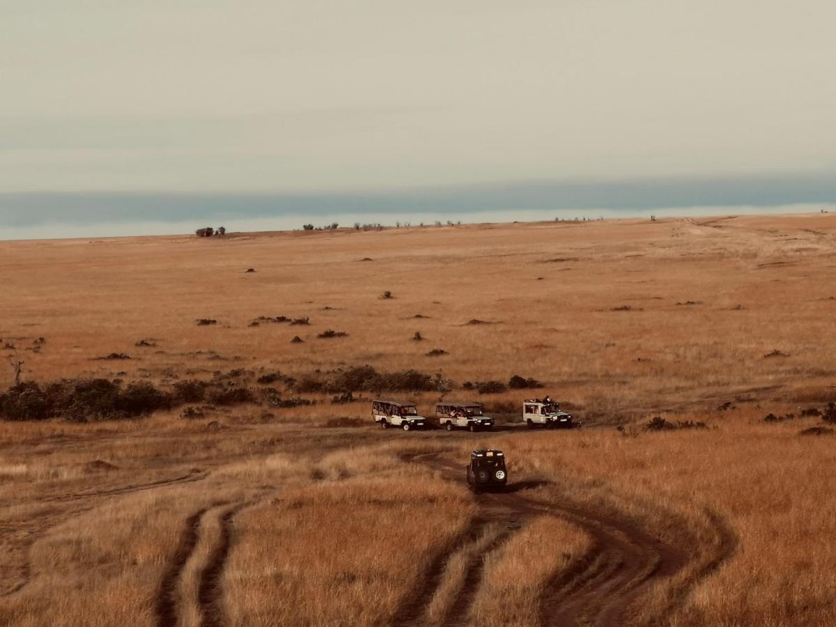 מלון טאלק Fig Tree Camp - Maasai Mara מראה חיצוני תמונה