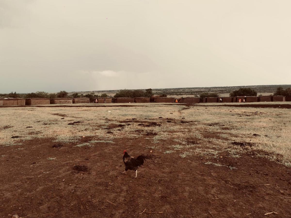 מלון טאלק Fig Tree Camp - Maasai Mara מראה חיצוני תמונה