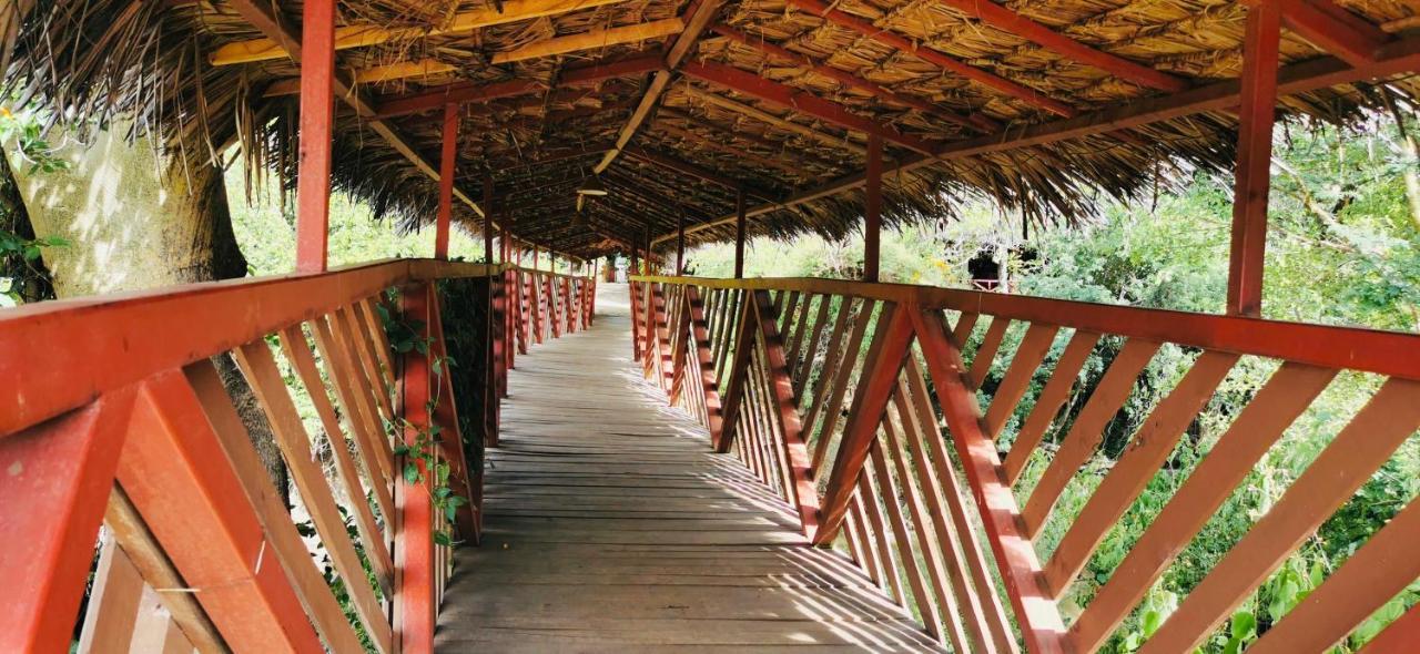 מלון טאלק Fig Tree Camp - Maasai Mara מראה חיצוני תמונה